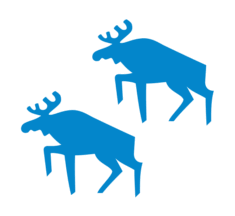 Regional Flag of Aremark