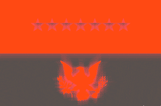 Regional Flag of BLM