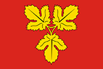 Regional Flag Flag