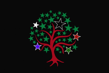 Regional Flag of Libertarian Socialist Confederation