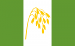 Regional Flag Flag