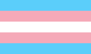 Regional Flag of Ten