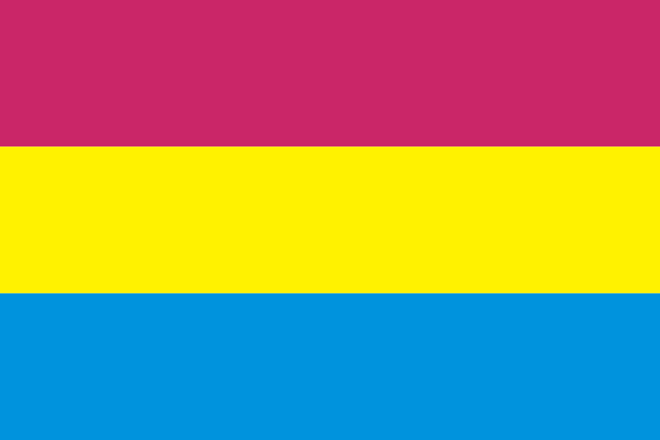 Regional Flag of Udaipur